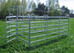 Haisen Horse Corral Panels Powder Coated 6 Bars Cattle for Famr and Yard